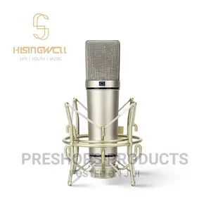 Behringer U87 Professional Condenser Microphone