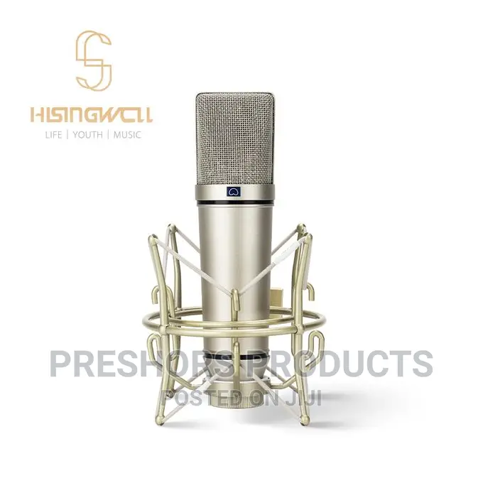 Behringer U87 Professional Condenser Microphone