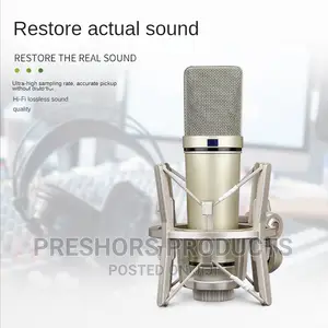 Behringer U87 Professional Condenser Microphone