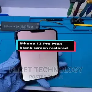 iPhone 13 Pro Max White/Green Screen Display Fixed