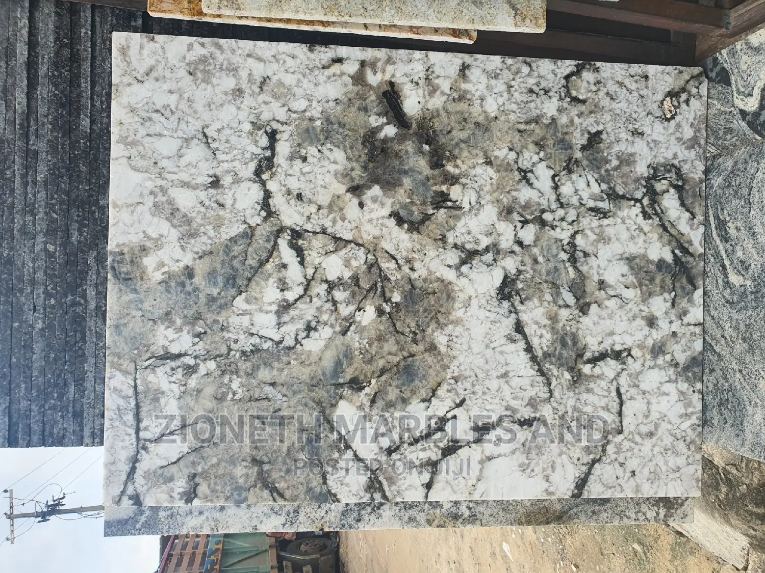 Italian Alaska Blanco