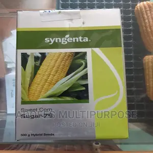 Sweet Corn Seed F1 Sugar-75 500g