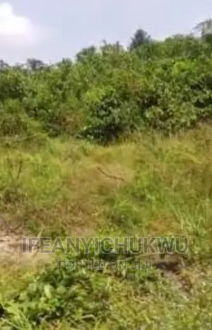 1 Plot of Land