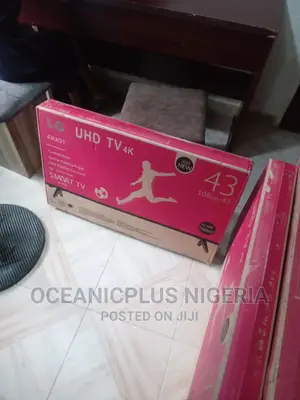 Standard LG 43 Inches Smart Frameless TV