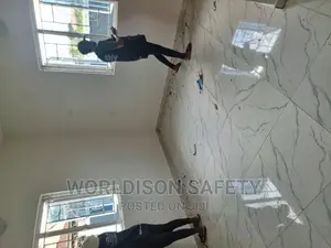 House and Office Cleaning