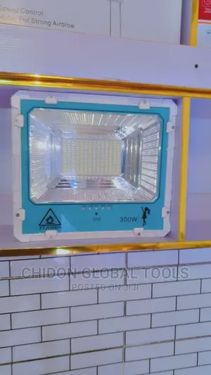 Flood Lights 300w Flames