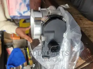 Cadillac Escalade Throttle Body/Injector Mouth 2007-2014