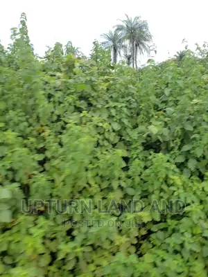 22 Acres of Land Near Toll-Gate Police Station, Ibadan.