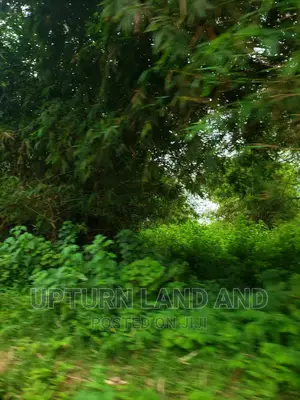 100 Acres of Land at Ibadan/Lagos Expressway, Sanusi, Ibadan