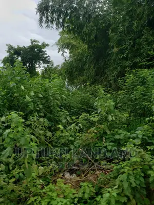 An Acre of Land at Along Old Lagos Road, Opposite Myjoy Brea