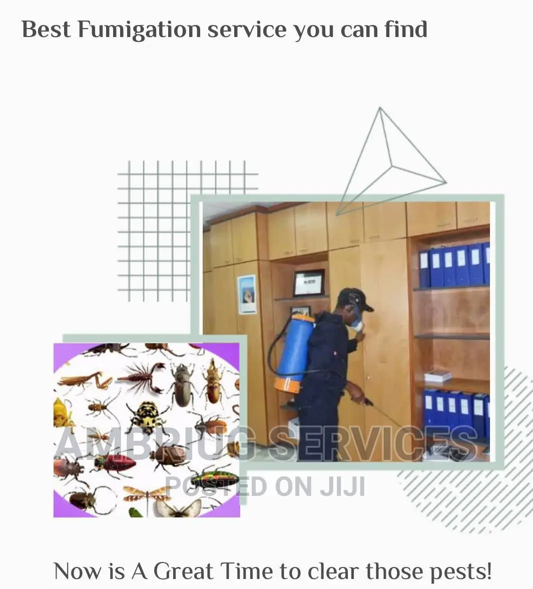 Best Fumigation Service