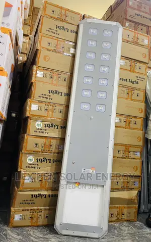 100w D2 Felicity All in One Solar Street Light Available