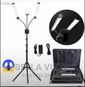 Original Twin/Double Arm Light