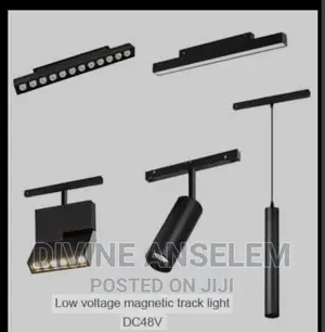 Magnetic Light