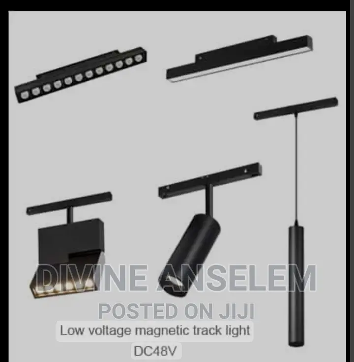 Magnetic Light