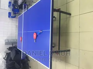 Outdoor Table Tennis Board