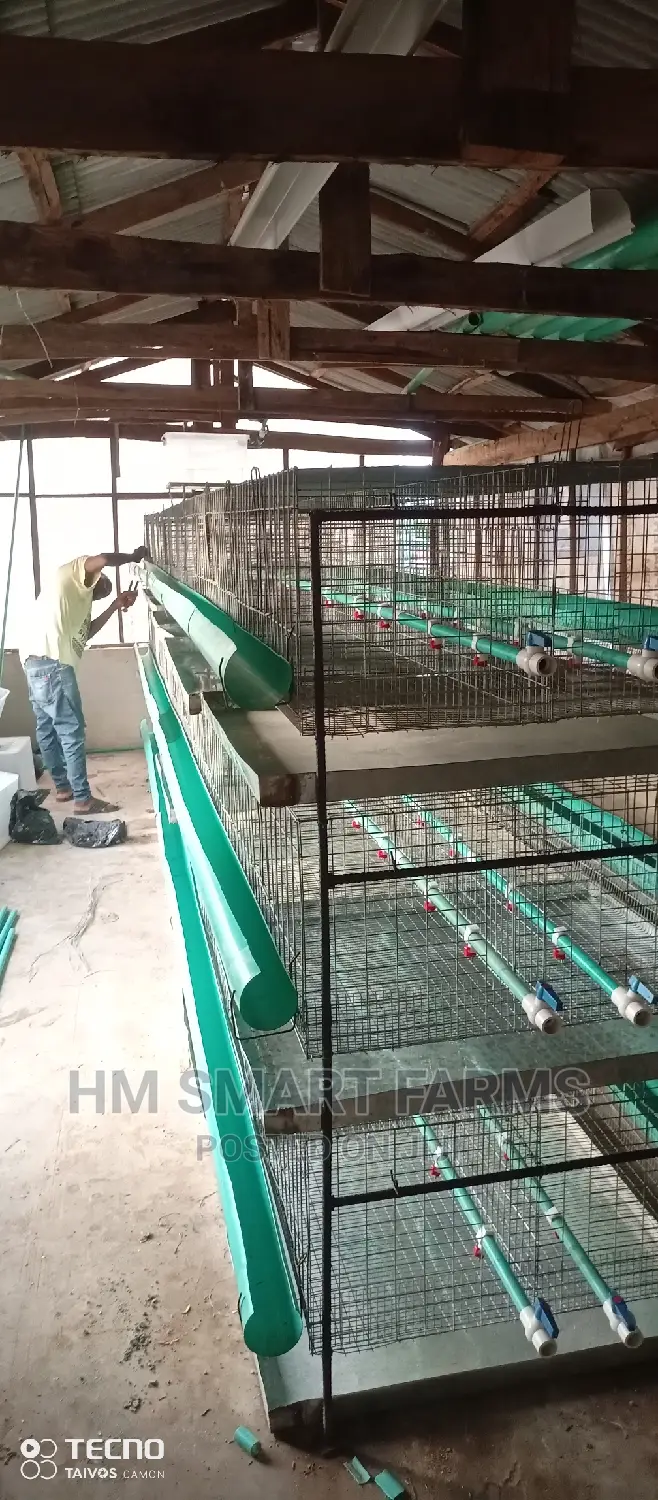 Day Old Cage