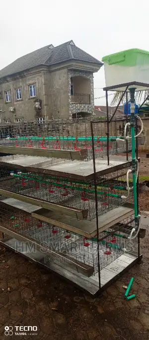 Day Old Cage