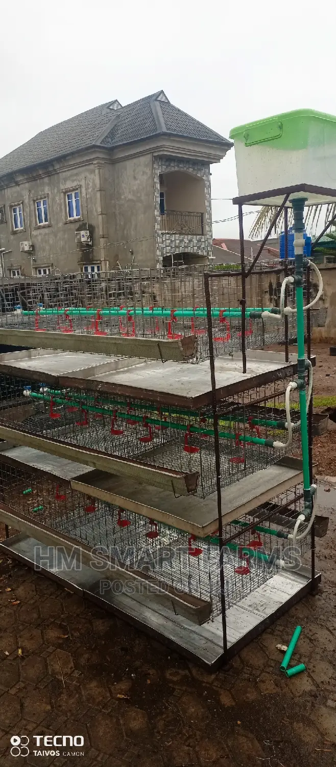 Day Old Cage