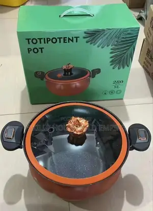 Non-Stick Pot