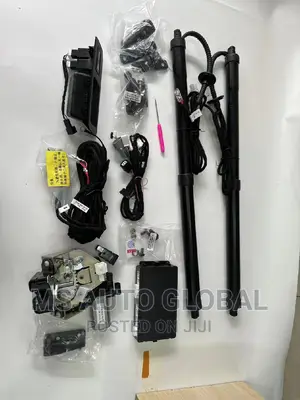 Land Cruiser LC300 Boot Shocks
