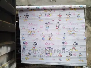 Quality Designed Day and Night Children Window Blinds.
