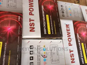 100ah 12v NST Power Battery