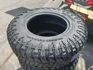 305/55r20 Tire