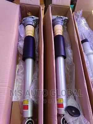 Porsche Panemera Back Shock
