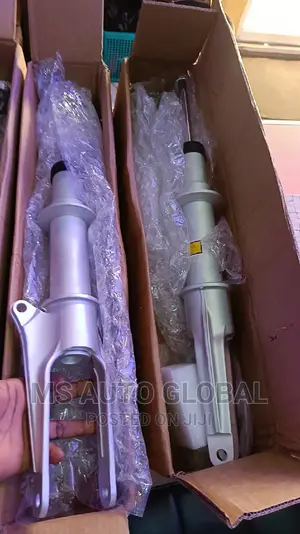 Porsche Panemera Shock