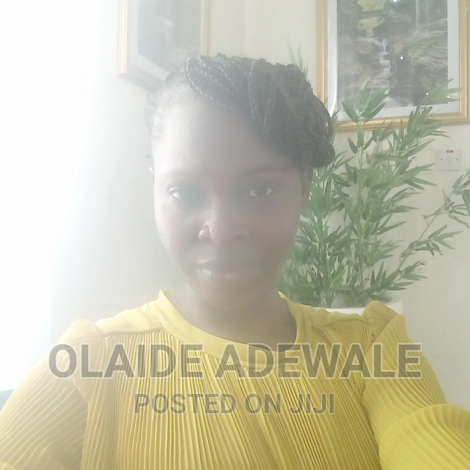 Online and Home Tutor