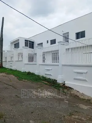 Am a Professional House Painter and Interior Deco