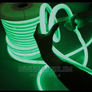Neon Rope Lights