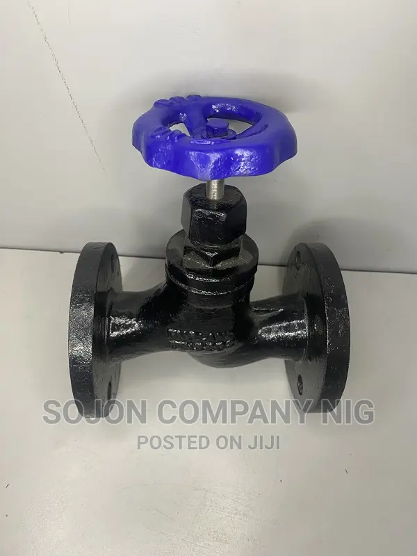 England Globe Valve Flange Type