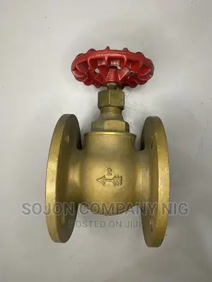 DN50 Brass Gate Valve Flange Type