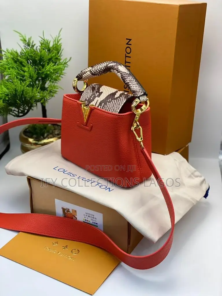Louis Vuitton Luxury Handbags