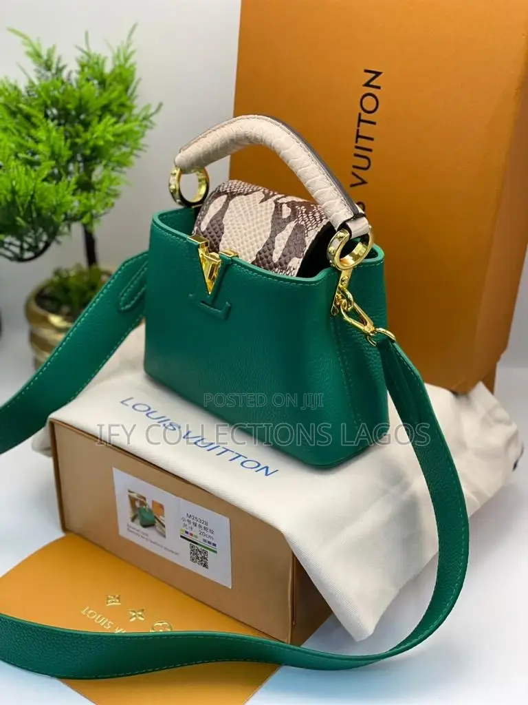 Louis Vuitton Luxury Handbags