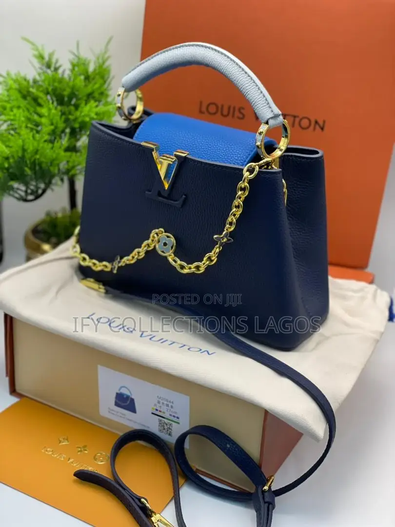 Louis Vuitton Luxury Handbags
