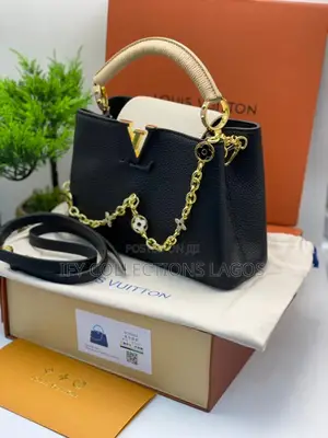Louis Vuitton Luxury Handbags