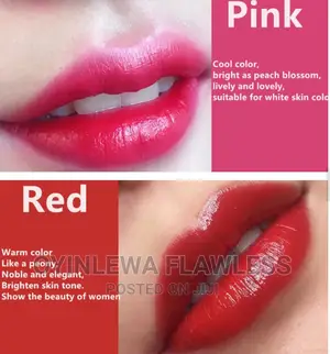 Lip Tattoo Ink Microblading Eyebrow Makeup Pigment