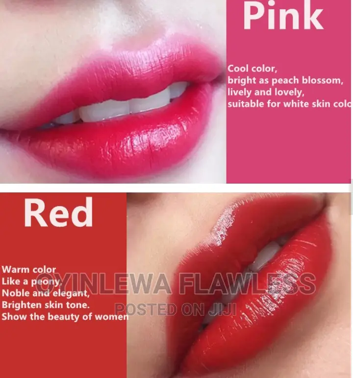 Lip Tattoo Ink Microblading Eyebrow Makeup Pigment