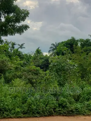 40000 Acres of Land for Sale in Iwajowa, Okeogun Area