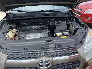 Toyota RAV4 2.5 Limited 4x4 2010 Gold