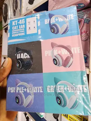 Best Cat Ear Stereo Headset
