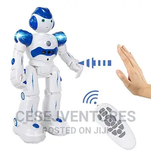 Robot Mechanics