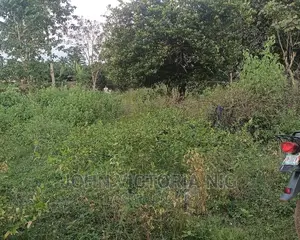 Empty Full Plot of Land for Sale in Badagry