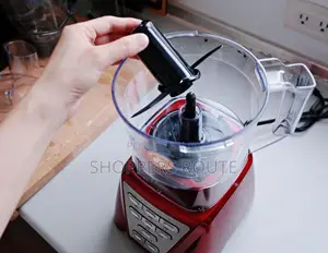Oster Dualpro Multi-Blender and Food Processor.