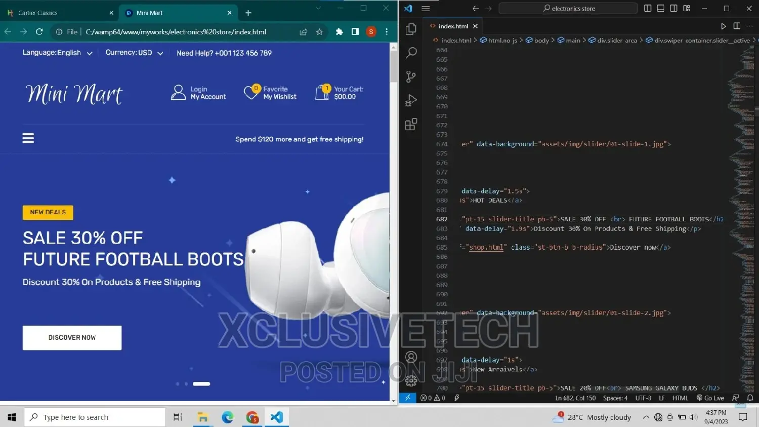 Website Development