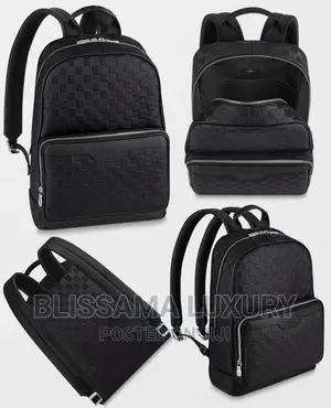 Luxury Louis Vuitton Bag-Pack