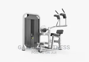 Commercial Abdominal Machine DFT-1616